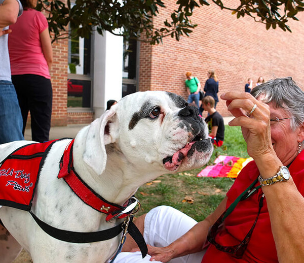 "Truman": un film che ci parla di Pet Therapy