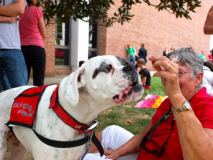 "Truman": un film che ci parla di Pet Therapy