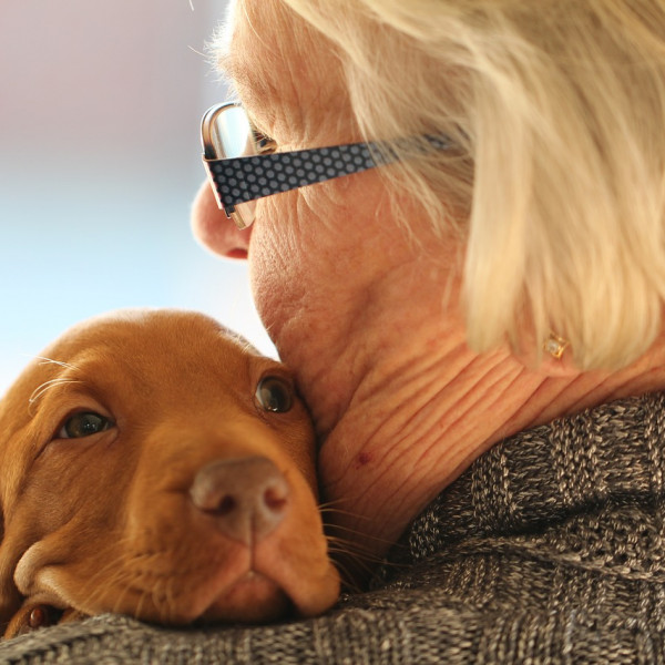 Residenza Vittoria: al via il progetto di residenzialità Pet-Friendly per over 65